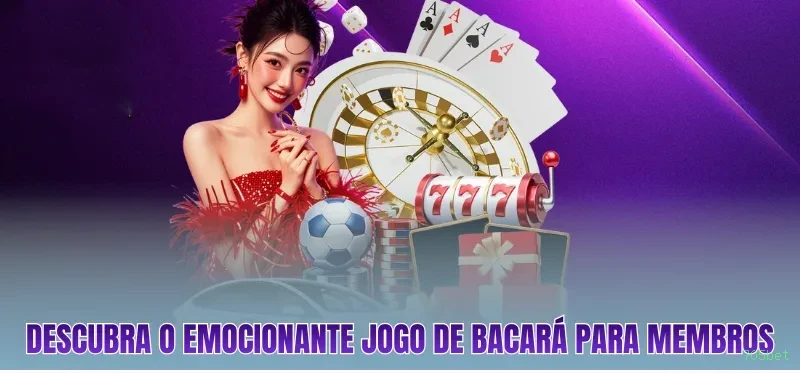 Suporte VIP 705bet - atendimento prioritário